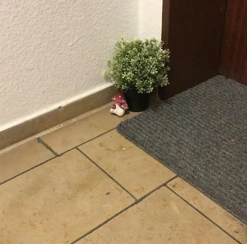 - Rotter - 60 Qm - 1 Bis 3 Personen *