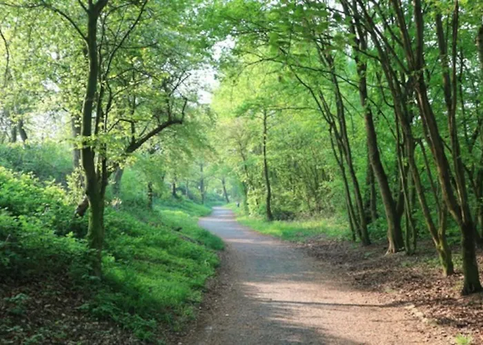 - Rotter - 60 Qm - 1 Bis 3 Personen